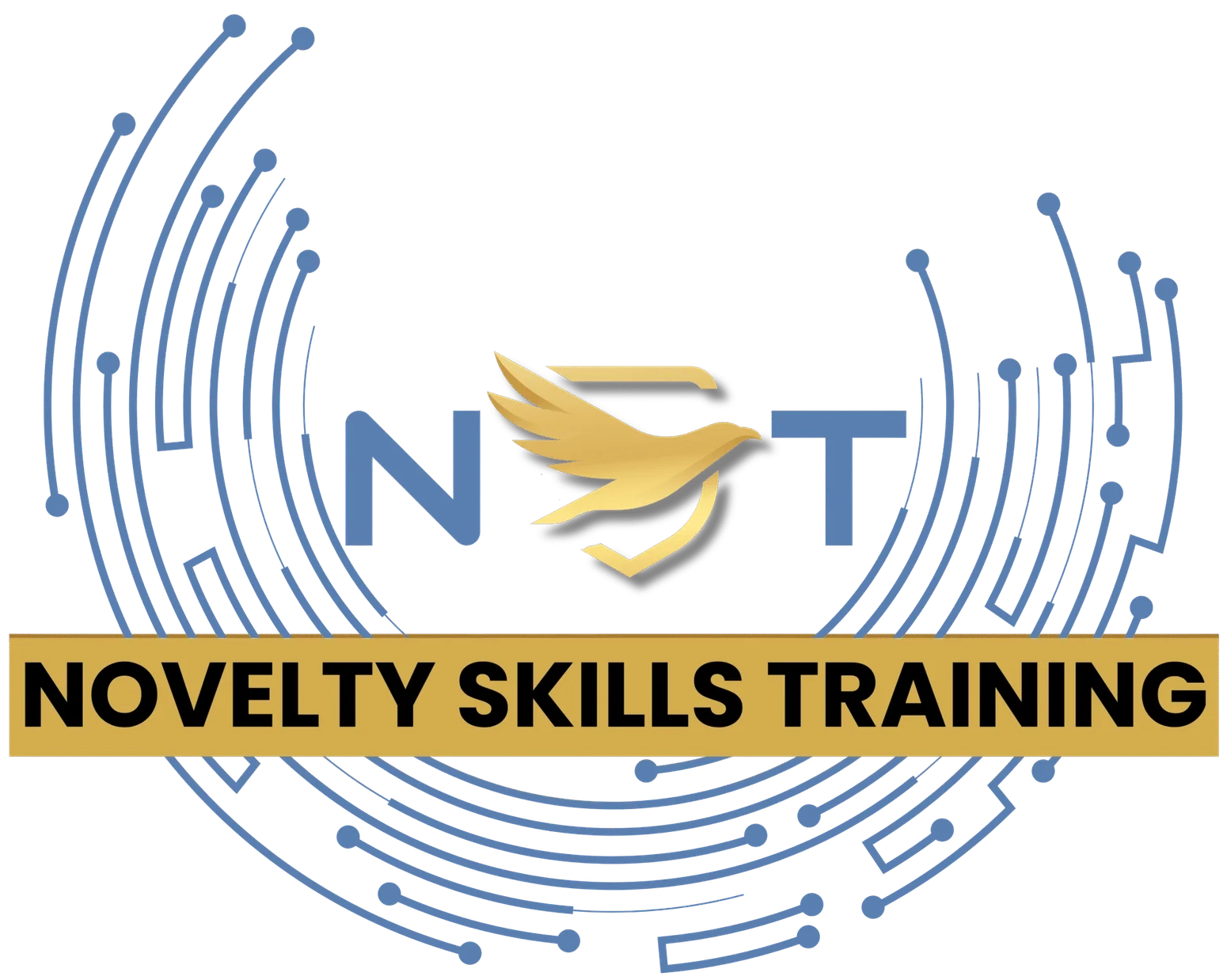 Novelty Skills Training