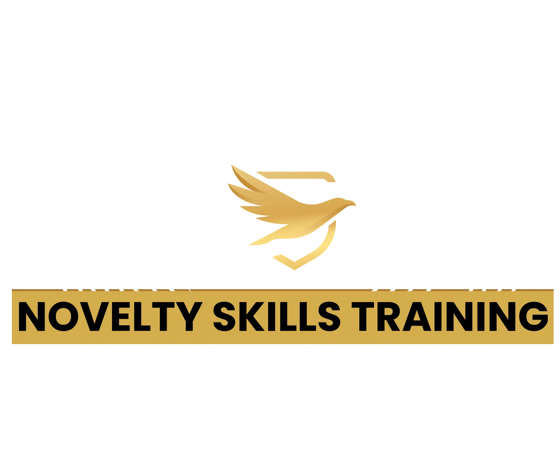 Novelty Skills Training